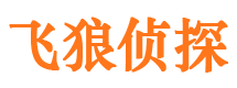 磴口市私家侦探